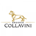 Collavini